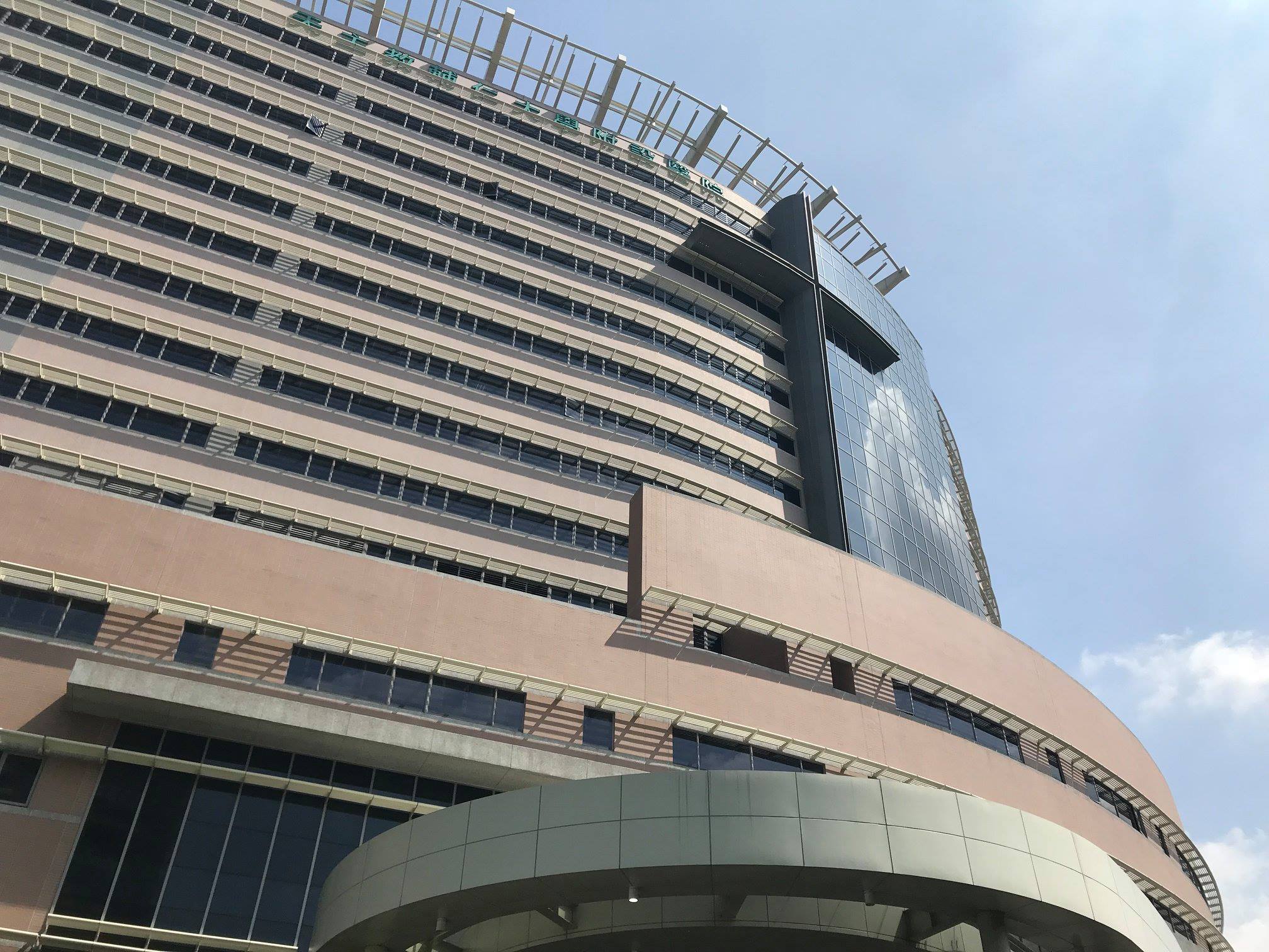 鳳梨與飛蚊症之謎　輔大醫師呼籲細心看待健康